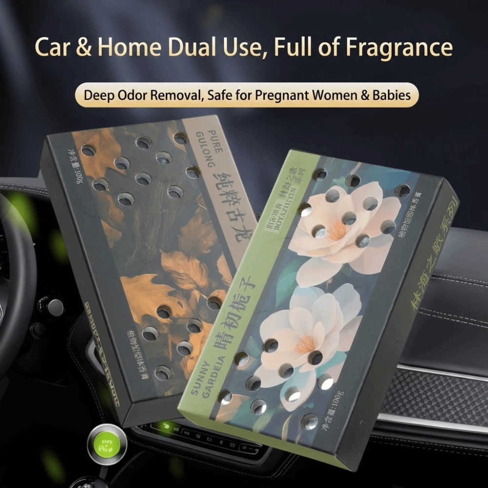 Hidden Car Solid Fragrance Col - Perfume Fragrance For Room 评论和价格