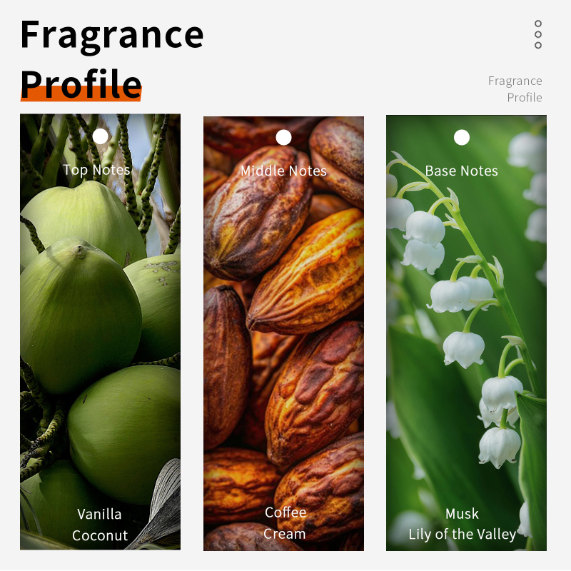 Coconut Vanilla Chocolate Milk - Perfume Fragrance Mist 评论和价格